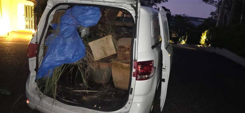 Van loaded with green waste ready for disposal